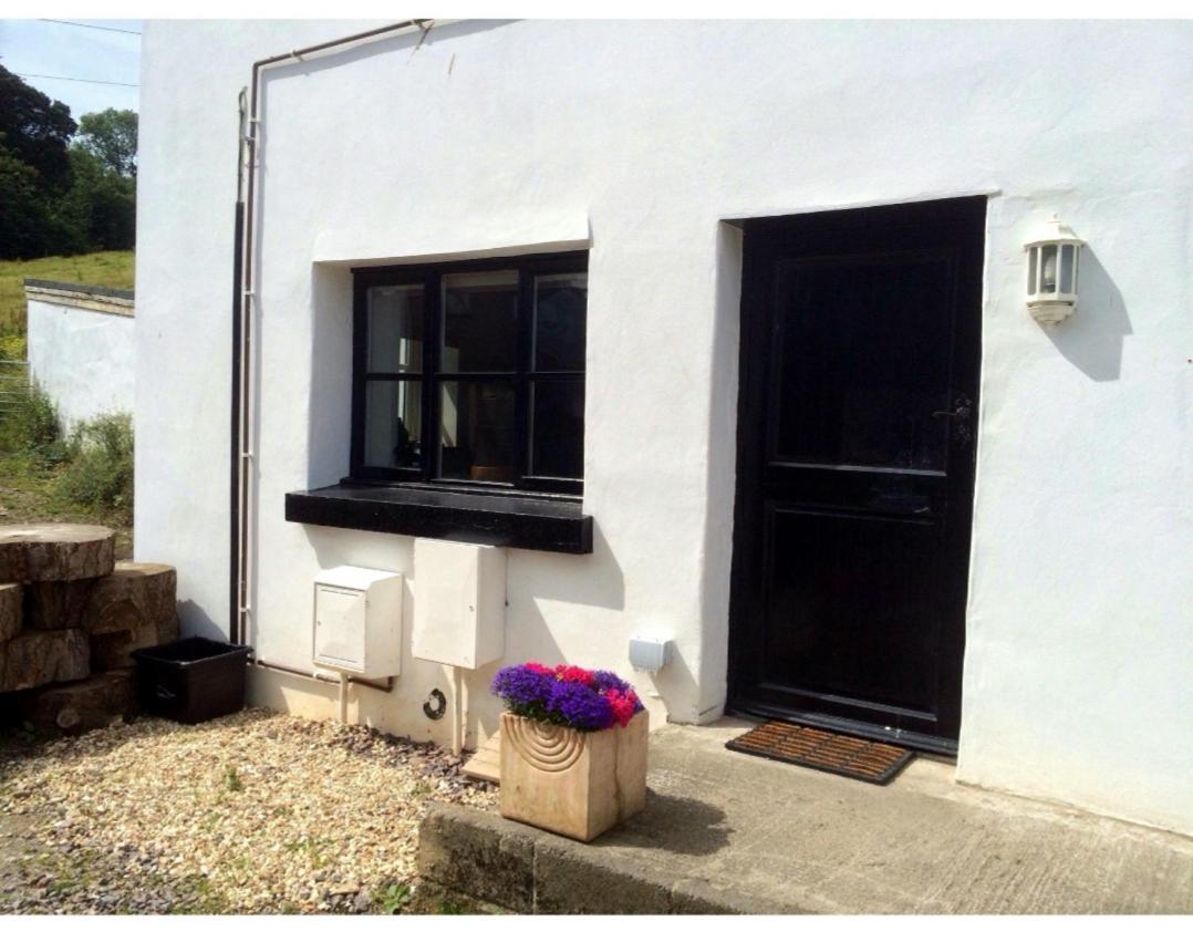 Laston Mews Ilfracombe Exteriér fotografie